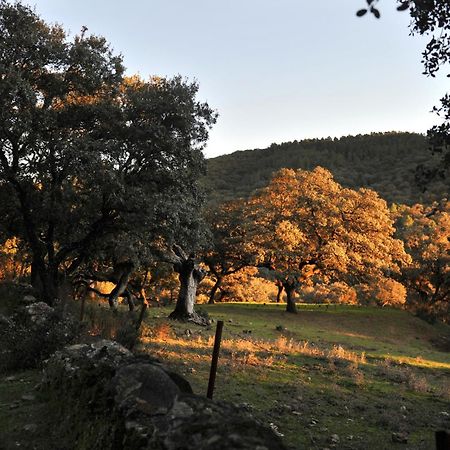 La Molinilla Apartamentos Y Hammam (Adults Only) Лінарес-де-ла-Сьєрра Екстер'єр фото